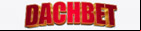 Dachbet Betting Site